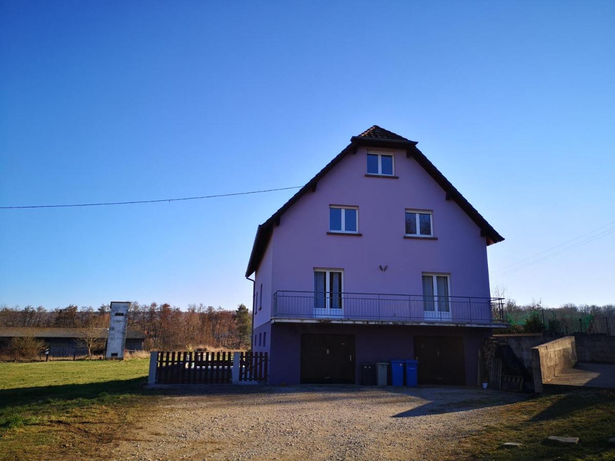 A L'Oree Du Bois Romanswiller Exterior foto